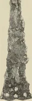 An illustration from Mycen©Œ : a narrative of researches and discoveries at Mycen©Œ and Tiryns (1878)