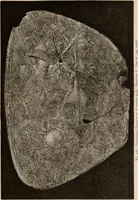 An illustration from Mycen©Œ : a narrative of researches and discoveries at Mycen©Œ and Tiryns (1878)