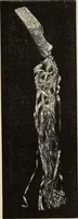 An illustration from Mycen©Œ : a narrative of researches and discoveries at Mycen©Œ and Tiryns (1878)