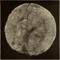 An illustration from Mycen©Œ : a narrative of researches and discoveries at Mycen©Œ and Tiryns (1878)