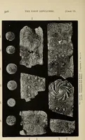 An illustration from Mycen©Œ : a narrative of researches and discoveries at Mycen©Œ and Tiryns (1878)