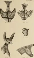 An illustration from Mycen©Œ : a narrative of researches and discoveries at Mycen©Œ and Tiryns (1878)