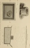 An illustration from Mycen©Œ : a narrative of researches and discoveries at Mycen©Œ and Tiryns (1878)