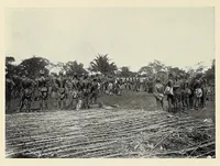 An illustration from My journey from Rhodesia to Egypt : including an ascent of Ruwenzori and a short account of the route from Cape Town to Broken Hill and Lado to Alexandria (1911)