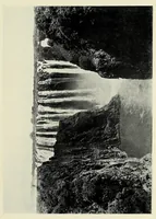 An illustration from My journey from Rhodesia to Egypt : including an ascent of Ruwenzori and a short account of the route from Cape Town to Broken Hill and Lado to Alexandria (1911)