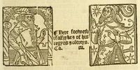 Picture 21 of 37 from The myrrour & dyscrypcyon of the worlde : with many meruaylles & the vii scyences as gramayre, rethorike wyth the arte of memorye, logyke, geometrye, wyth the standarde of mesure & weyght, and the knowlege how a man sholde mesure londe, borde, & tymber, and than arsmetryke wyth the maner of accou[n]tes and rekenynges by cyfres, and than musyke, and astrnomye, with many other profytable and plesant co[m]modytes (1527), leaf 113
