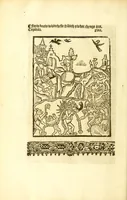 An illustration from The myrrour & dyscrypcyon of the worlde : with many meruaylles & the vii scyences as gramayre, rethorike wyth the arte of memorye, logyke, geometrye, wyth the standarde of mesure & weyght, and the knowlege how a man sholde mesure londe, borde, & tymber, and than arsmetryke wyth the maner of accou[n]tes and rekenynges by cyfres, and than musyke, and astrnomye, with many other profytable and plesant co[m]modytes (1527)