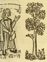 An illustration from The myrrour & dyscrypcyon of the worlde : with many meruaylles & the vii scyences as gramayre, rethorike wyth the arte of memorye, logyke, geometrye, wyth the standarde of mesure & weyght, and the knowlege how a man sholde mesure londe, borde, & tymber, and than arsmetryke wyth the maner of accou[n]tes and rekenynges by cyfres, and than musyke, and astrnomye, with many other profytable and plesant co[m]modytes (1527)
