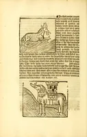 An illustration from The myrrour & dyscrypcyon of the worlde : with many meruaylles & the vii scyences as gramayre, rethorike wyth the arte of memorye, logyke, geometrye, wyth the standarde of mesure & weyght, and the knowlege how a man sholde mesure londe, borde, & tymber, and than arsmetryke wyth the maner of accou[n]tes and rekenynges by cyfres, and than musyke, and astrnomye, with many other profytable and plesant co[m]modytes (1527)