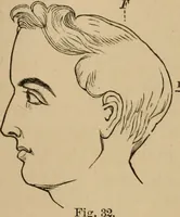 An illustration from The mysteries of the head and the heart explained : including an improved system of phrenology, a new theory of the emotions, and an explanation of the mysteries of mesmerism, trance, mind-reading, and the spirit delusion (1875)