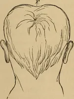 An illustration from The mysteries of the head and the heart explained : including an improved system of phrenology, a new theory of the emotions, and an explanation of the mysteries of mesmerism, trance, mind-reading, and the spirit delusion (1875)