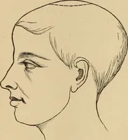 An illustration from The mysteries of the head and the heart explained : including an improved system of phrenology, a new theory of the emotions, and an explanation of the mysteries of mesmerism, trance, mind-reading, and the spirit delusion (1875)