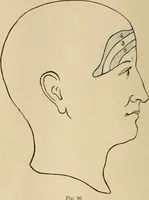 Picture 60 of 86 from The mysteries of the head and the heart explained : including an improved system of phrenology, a new theory of the emotions, and an explanation of the mysteries of mesmerism, trance, mind-reading, and the spirit delusion (1875), leaf 213