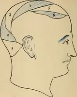 An illustration from The mysteries of the head and the heart explained : including an improved system of phrenology, a new theory of the emotions, and an explanation of the mysteries of mesmerism, trance, mind-reading, and the spirit delusion (1875)