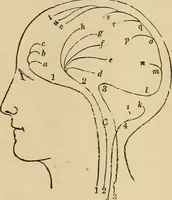 An illustration from The mysteries of the head and the heart explained : including an improved system of phrenology, a new theory of the emotions, and an explanation of the mysteries of mesmerism, trance, mind-reading, and the spirit delusion (1875)