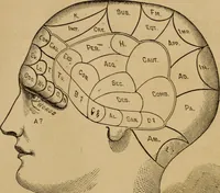 An illustration from The mysteries of the head and the heart explained : including an improved system of phrenology, a new theory of the emotions, and an explanation of the mysteries of mesmerism, trance, mind-reading, and the spirit delusion (1875)