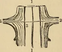 Picture 69 of 86 from The mysteries of the head and the heart explained : including an improved system of phrenology, a new theory of the emotions, and an explanation of the mysteries of mesmerism, trance, mind-reading, and the spirit delusion (1875), leaf 233