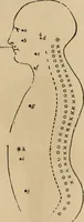 An illustration from The mysteries of the head and the heart explained : including an improved system of phrenology, a new theory of the emotions, and an explanation of the mysteries of mesmerism, trance, mind-reading, and the spirit delusion (1875)