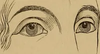 An illustration from The mysteries of the head and the heart explained : including an improved system of phrenology, a new theory of the emotions, and an explanation of the mysteries of mesmerism, trance, mind-reading, and the spirit delusion (1875)