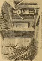 Picture 84 of 86 from The mysteries of the head and the heart explained : including an improved system of phrenology, a new theory of the emotions, and an explanation of the mysteries of mesmerism, trance, mind-reading, and the spirit delusion (1875), leaf 405