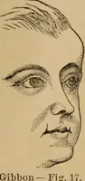 An illustration from The mysteries of the head and the heart explained : including an improved system of phrenology, a new theory of the emotions, and an explanation of the mysteries of mesmerism, trance, mind-reading, and the spirit delusion (1875)
