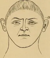 An illustration from The mysteries of the head and the heart explained : including an improved system of phrenology, a new theory of the emotions, and an explanation of the mysteries of mesmerism, trance, mind-reading, and the spirit delusion (1875)
