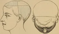 An illustration from The mysteries of the head and the heart explained : including an improved system of phrenology, a new theory of the emotions, and an explanation of the mysteries of mesmerism, trance, mind-reading, and the spirit delusion (1875)