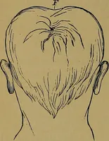 Picture 16 of 68 from The mysteries of the head and the heart explained: including an improved system of phrenology; a new theory of the emotions, and an explanation of the mysteries of mesmerism, trance, mind-reading, and the spirit delusion (1881), leaf 105