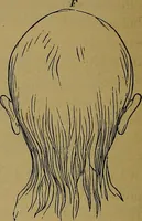 An illustration from The mysteries of the head and the heart explained: including an improved system of phrenology; a new theory of the emotions, and an explanation of the mysteries of mesmerism, trance, mind-reading, and the spirit delusion (1881)