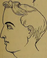 An illustration from The mysteries of the head and the heart explained: including an improved system of phrenology; a new theory of the emotions, and an explanation of the mysteries of mesmerism, trance, mind-reading, and the spirit delusion (1881)