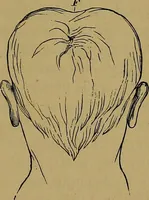 Picture 23 of 68 from The mysteries of the head and the heart explained: including an improved system of phrenology; a new theory of the emotions, and an explanation of the mysteries of mesmerism, trance, mind-reading, and the spirit delusion (1881), leaf 122