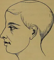 An illustration from The mysteries of the head and the heart explained: including an improved system of phrenology; a new theory of the emotions, and an explanation of the mysteries of mesmerism, trance, mind-reading, and the spirit delusion (1881)