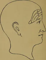 An illustration from The mysteries of the head and the heart explained: including an improved system of phrenology; a new theory of the emotions, and an explanation of the mysteries of mesmerism, trance, mind-reading, and the spirit delusion (1881)