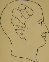 Picture 57 of 68 from The mysteries of the head and the heart explained: including an improved system of phrenology; a new theory of the emotions, and an explanation of the mysteries of mesmerism, trance, mind-reading, and the spirit delusion (1881), leaf 216