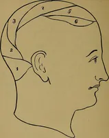An illustration from The mysteries of the head and the heart explained: including an improved system of phrenology; a new theory of the emotions, and an explanation of the mysteries of mesmerism, trance, mind-reading, and the spirit delusion (1881)