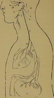 Picture 68 of 68 from The mysteries of the head and the heart explained: including an improved system of phrenology; a new theory of the emotions, and an explanation of the mysteries of mesmerism, trance, mind-reading, and the spirit delusion (1881), leaf 245