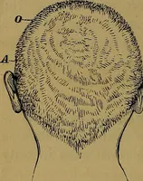 An illustration from The mysteries of the head and the heart explained: including an improved system of phrenology; a new theory of the emotions, and an explanation of the mysteries of mesmerism, trance, mind-reading, and the spirit delusion (1881)