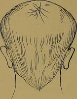 An illustration from The mysteries of the head and the heart explained: including an improved system of phrenology; a new theory of the emotions, and an explanation of the mysteries of mesmerism, trance, mind-reading, and the spirit delusion (1881)