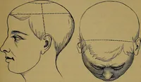 An illustration from The mysteries of the head and the heart explained: including an improved system of phrenology; a new theory of the emotions, and an explanation of the mysteries of mesmerism, trance, mind-reading, and the spirit delusion (1881)