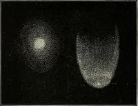 An illustration from Mysteries of time and space (1883)