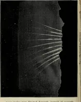 An illustration from Mysteries of time and space (1883)
