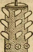 Picture 70 of 105 from The mysteryes of nature and art : conteined in foure severall tretises, the first of water workes, the second of fyer workes, the third of drawing, colouring, painting, and engrauing, the fourth of divers experiments, as wel serviceable as delightful (1634), leaf 106