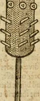 Picture 71 of 105 from The mysteryes of nature and art : conteined in foure severall tretises, the first of water workes, the second of fyer workes, the third of drawing, colouring, painting, and engrauing, the fourth of divers experiments, as wel serviceable as delightful (1634), leaf 106