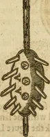 Picture 74 of 105 from The mysteryes of nature and art : conteined in foure severall tretises, the first of water workes, the second of fyer workes, the third of drawing, colouring, painting, and engrauing, the fourth of divers experiments, as wel serviceable as delightful (1634), leaf 108