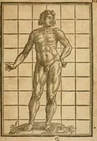 Picture 83 of 105 from The mysteryes of nature and art : conteined in foure severall tretises, the first of water workes, the second of fyer workes, the third of drawing, colouring, painting, and engrauing, the fourth of divers experiments, as wel serviceable as delightful (1634), leaf 128