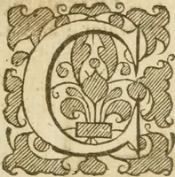 An illustration from The mysteryes of nature and art : conteined in foure severall tretises, the first of water workes, the second of fyer workes, the third of drawing, colouring, painting, and engrauing, the fourth of divers experiments, as wel serviceable as delightful (1634)