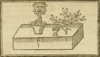 Picture 23 of 105 from The mysteryes of nature and art : conteined in foure severall tretises, the first of water workes, the second of fyer workes, the third of drawing, colouring, painting, and engrauing, the fourth of divers experiments, as wel serviceable as delightful (1634), leaf 35