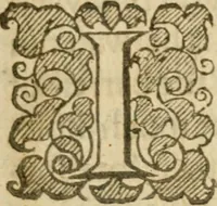 Picture 50 of 105 from The mysteryes of nature and art : conteined in foure severall tretises, the first of water workes, the second of fyer workes, the third of drawing, colouring, painting, and engrauing, the fourth of divers experiments, as wel serviceable as delightful (1634), leaf 68