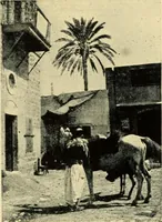 Picture 9 of 45 from The mystery of the oriental rug; the mystery of the rug, the prayer rug, some advice to purchasers of oriental rugs (1914), leaf 29