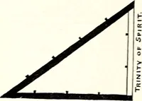 An illustration from Mystic Masonry, or, the Symbols of Freemasonry and Greater Mysteries of Antiquity (1911) [Supplemental Harmonic Series] (1911)